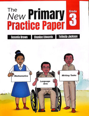 THE NEW PRIMARY PRACTICE PAPER GRADE 3