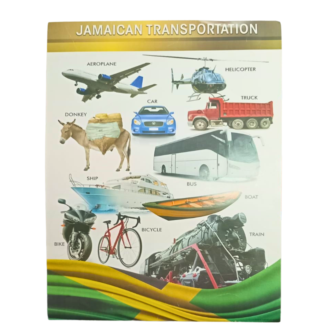 G/ MINDS CHARTS - JAMAICAN TRANSPORTATION