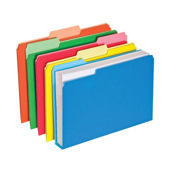 PLASTIC DOUBLE FILE  FOLDER