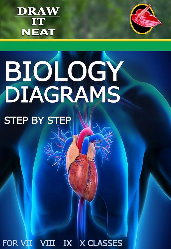 A STEP BY STEP GUIDE TO BETTER BIOLOGICAL DIAGRAMS
