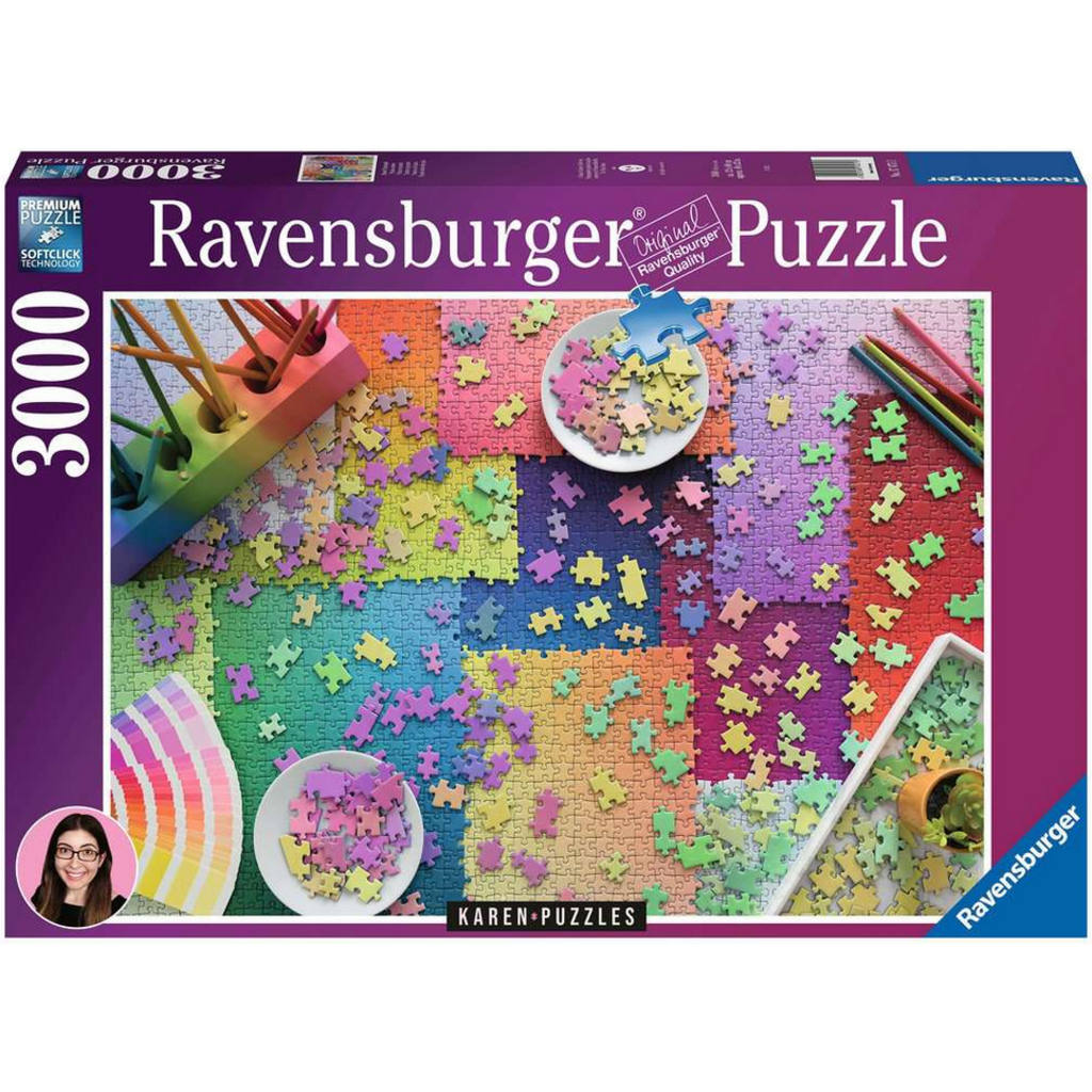 TOY PUZZLE 3000PC